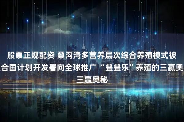 股票正规配资 桑沟湾多营养层次综合养殖模式被联合国计划开发署向全球推广 “叠叠乐”养殖的三赢奥秘