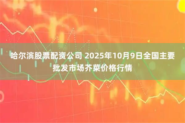 哈尔滨股票配资公司 2025年10月9日全国主要批发市场芥菜价格行情